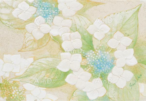 ビジュアル表現が購買意欲を左右する理由